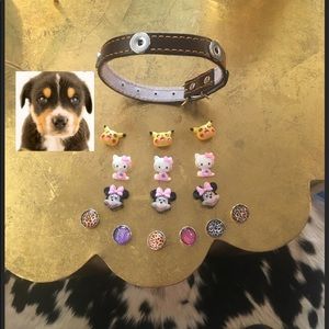 Dog Collar with fun unique interchangeable snaps